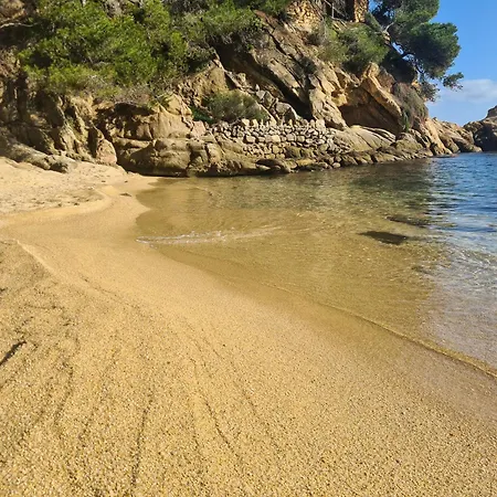 Будинок відпочинку Casa Orquidea *