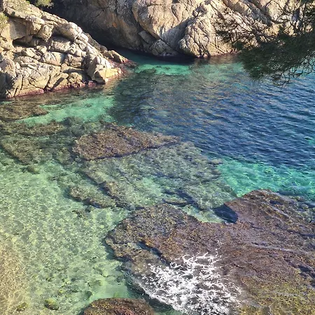 Будинок відпочинку Casa Orquidea