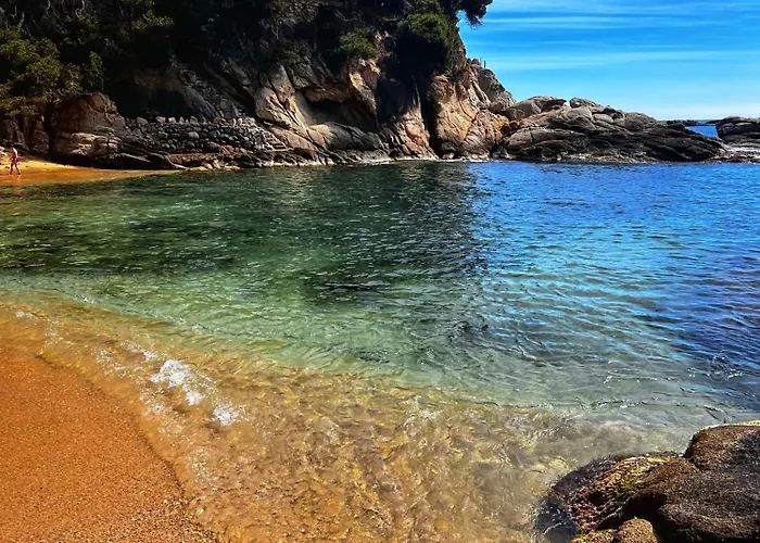 Будинок відпочинку Casa Orquidea