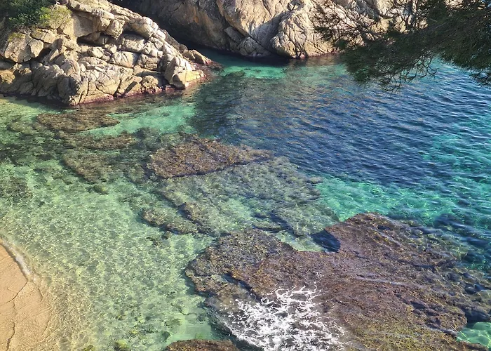 بيت للعطل Casa Orquidea